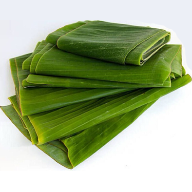 Fresh banana leaves from CV Melvi Ayana Nusantara for food and packaging export