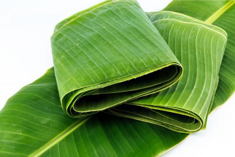 Fresh banana leaves from CV Melvi Ayana Nusantara for food and packaging export