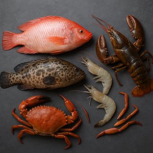 Fresh and frozen seafood export from CV Melvi Ayana Nusantara Indonesia