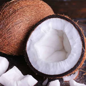 Bulk packaging of Indonesian copra for export and industrial use